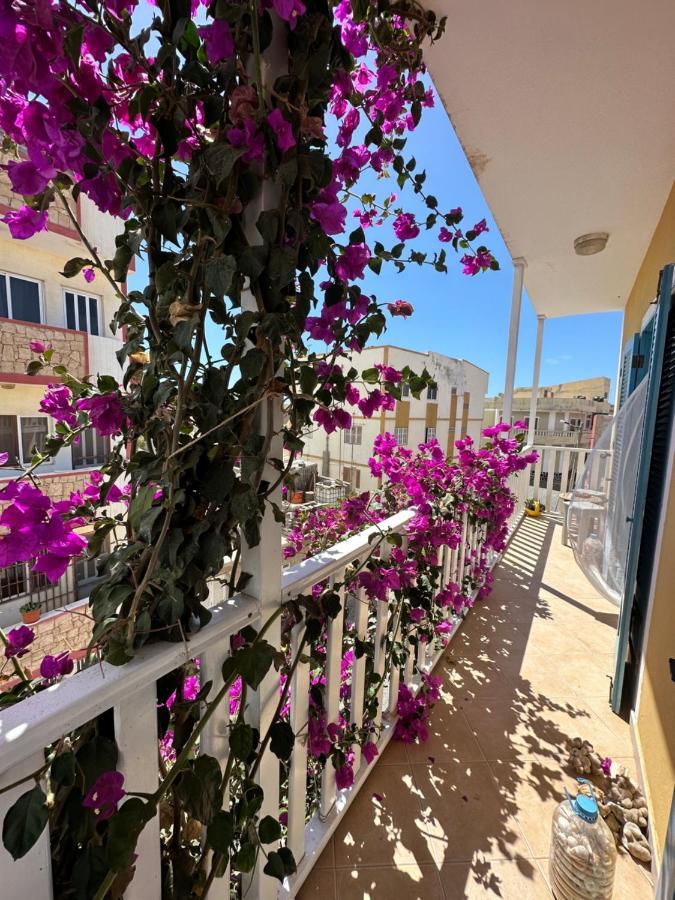 B&B Mi Ma Bo, Sal Rei, Boa Vista, Cape Verde, Free Wi-Fi Exteriér fotografie