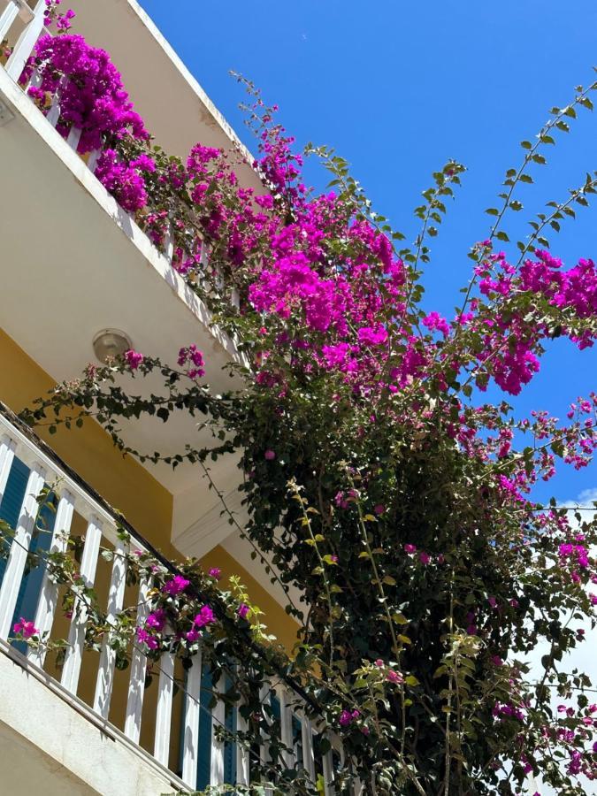 B&B Mi Ma Bo, Sal Rei, Boa Vista, Cape Verde, Free Wi-Fi Exteriér fotografie