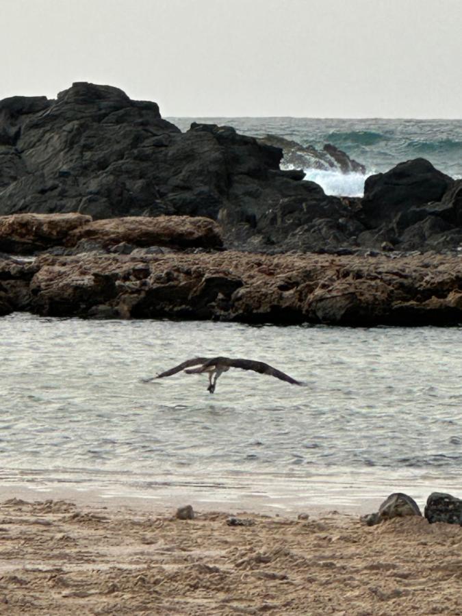 B&B Mi Ma Bo, Sal Rei, Boa Vista, Cape Verde, Free Wi-Fi Exteriér fotografie