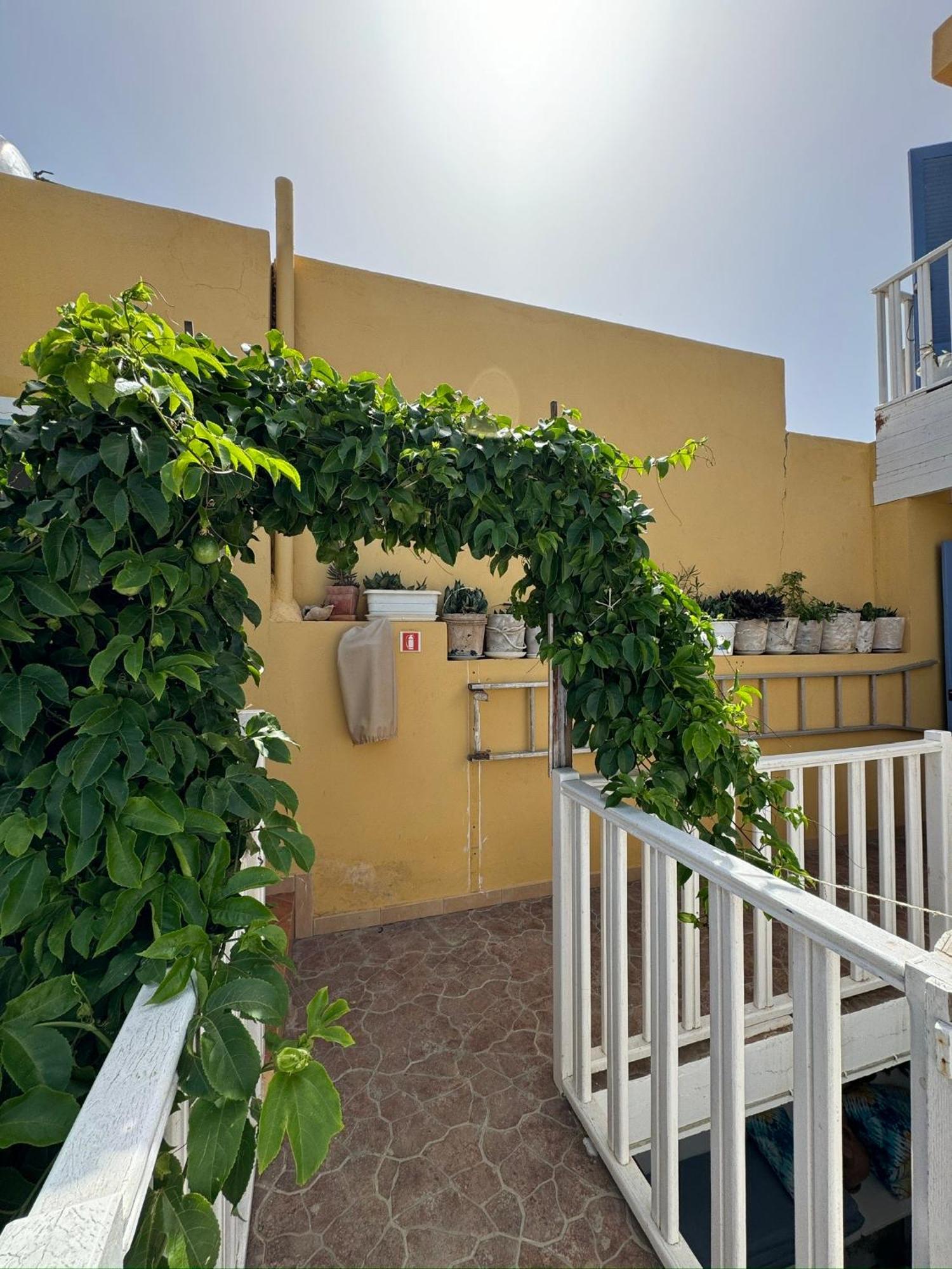 B&B Mi Ma Bo, Sal Rei, Boa Vista, Cape Verde, Free Wi-Fi Exteriér fotografie
