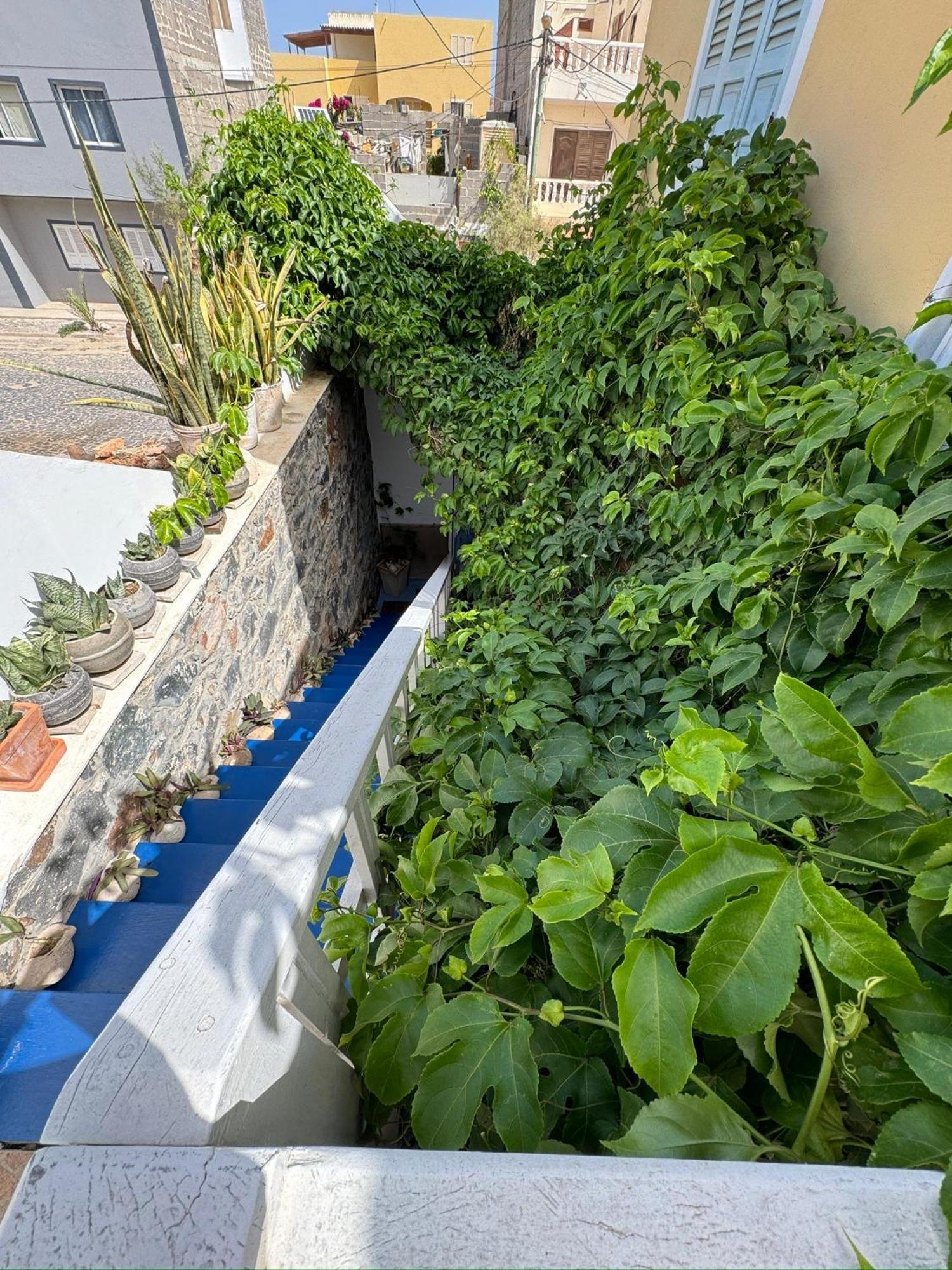B&B Mi Ma Bo, Sal Rei, Boa Vista, Cape Verde, Free Wi-Fi Exteriér fotografie