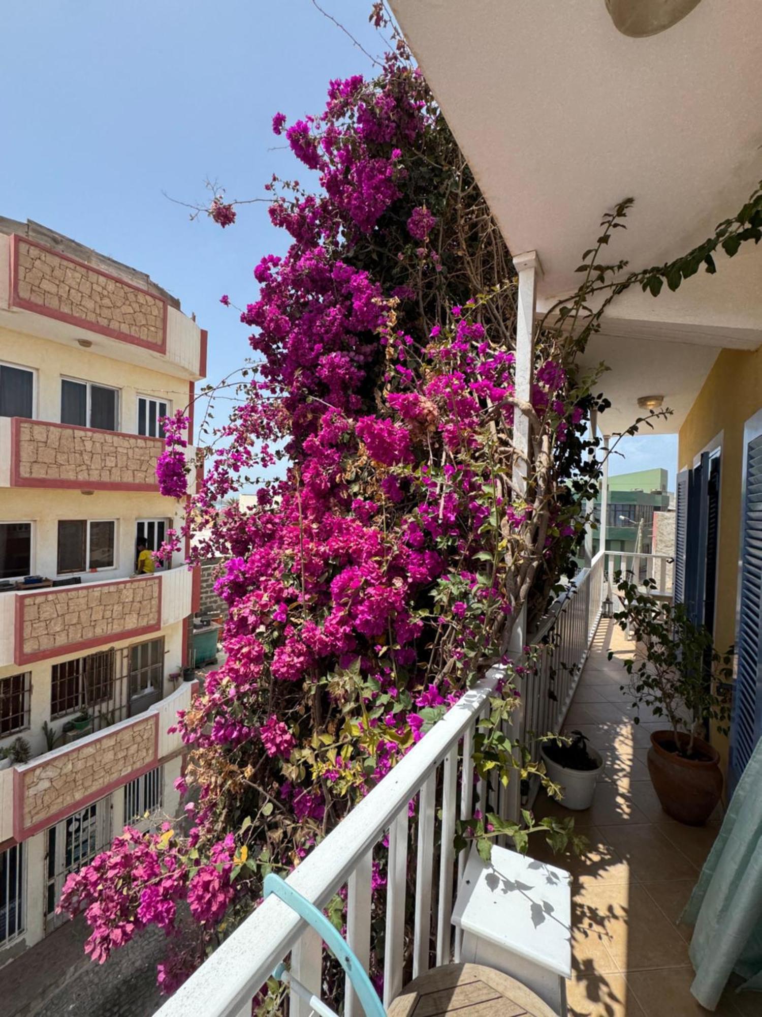 B&B Mi Ma Bo, Sal Rei, Boa Vista, Cape Verde, Free Wi-Fi Exteriér fotografie